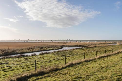 Denkerhof Apartment Rosenquarz in Reussenkoge
