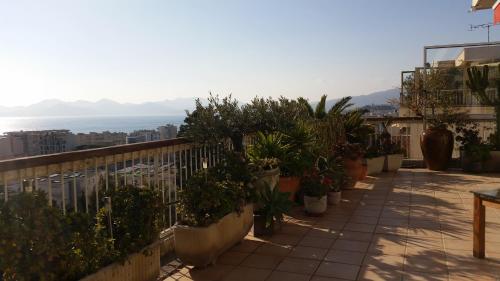 Two Bedrooms Cannes - Location saisonnière - Cannes