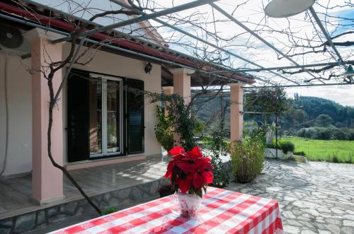 Green Yard Family Holiday Home Sidari Corfu