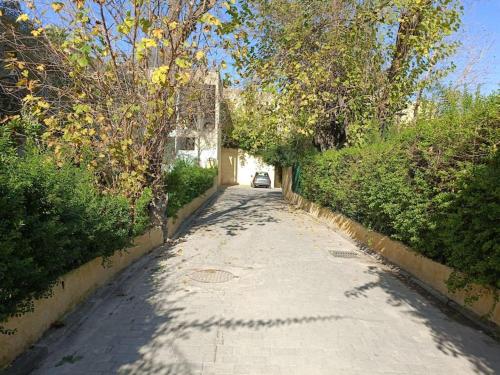 Youssef, Фес (фото 4)