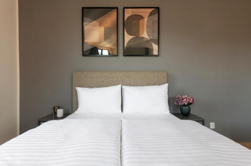 Bohemian Dreams Apartments and Suites by Dwellfort, Praha (fotografie 10)