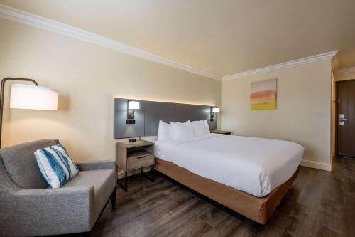 Comfort Inn Gilroy Room Type - One Room Suite with Sofa bed - Non Smoking