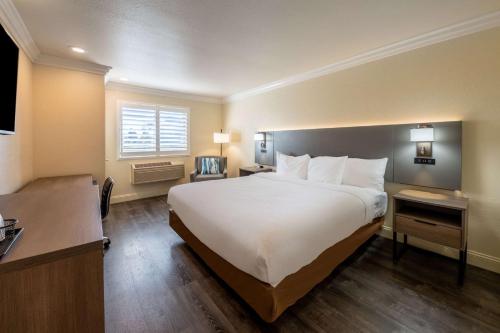 Comfort Inn Gilroy Room Type - Standard King Room - Non Smoking