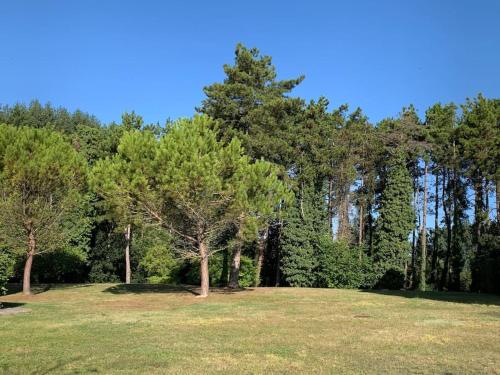 Appartement à Royan avec accès piscine