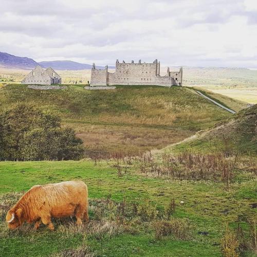 The Bakehouse - by Where Stags Roar