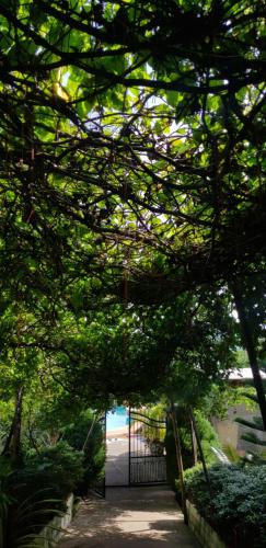 La Casa de Samonteza La Casa de Samonteza