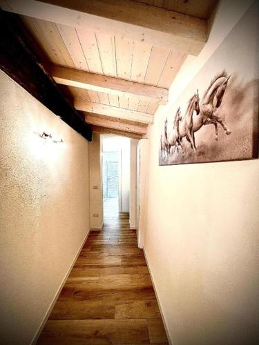 One-Bedroom Apartment image 6