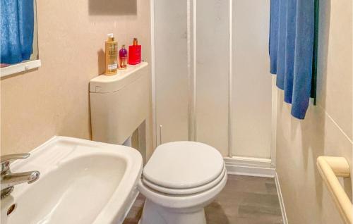 Pet Friendly StaCaravan