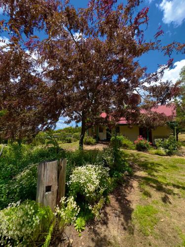 Red Hill Cottage Walcha