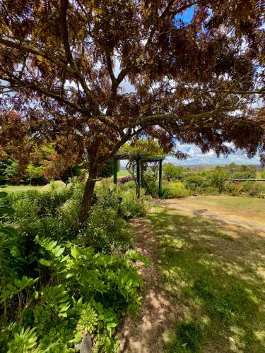 Red Hill Cottage Walcha