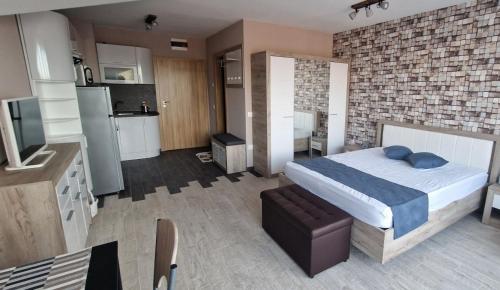 B55 Studio, Borovets (foto 4)