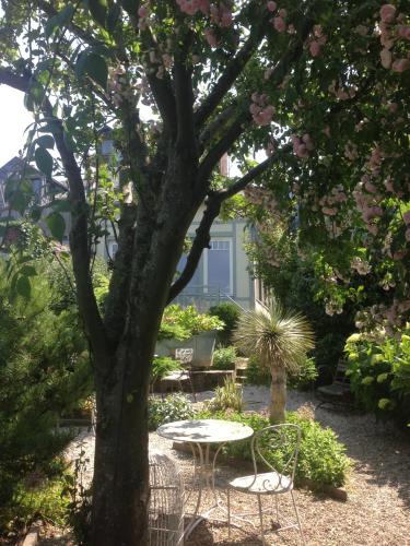 Logis Saint-Leonard - 정원