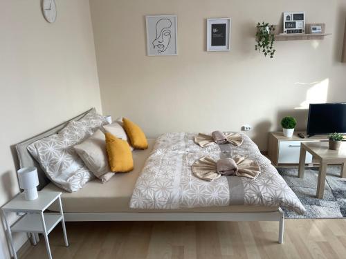 Modern Living Apartment