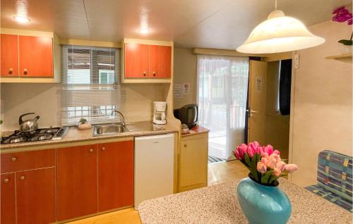 Pet Friendly StaCaravan