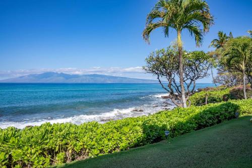 Kuleana 405 Oceanfront 1Bedroom condo - image 12
