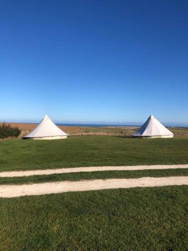 Flamborough Glamping Bell Tents 3