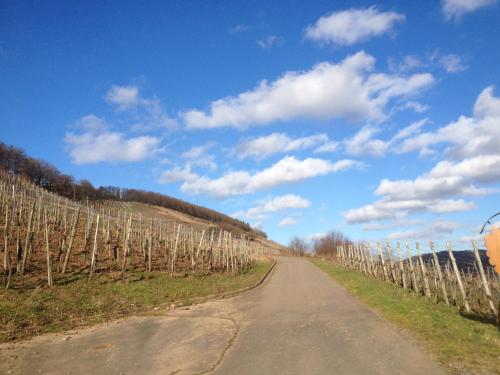 Hotel Weingut Dehren