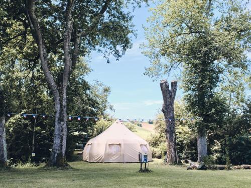 Camping d'artagnan - Camping - Margouët-Meymes