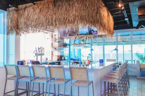 Winter the Dolphins Beach Club Ascend Hotel Collection - image 10