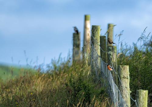 The Workshop- Eco Cottage by the Coastal Path