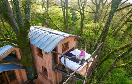 Cabane perchée - Les Cabanes de Fallot - sauna bain-froid piscine - Location, gîte - L'Isle-Bouzon