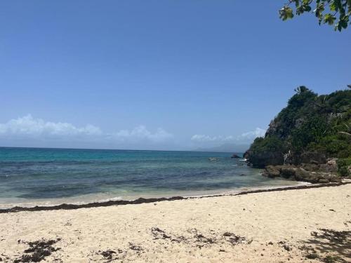 JARDIN TROPICAL - logement 4 personnes Le Gosier