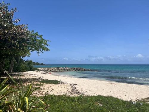 JARDIN TROPICAL - logement 4 personnes Le Gosier