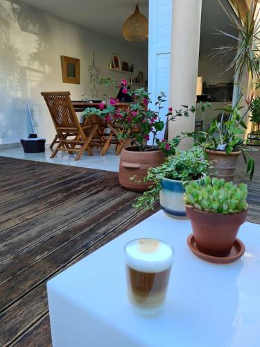 JARDIN TROPICAL - logement 4 personnes Le Gosier