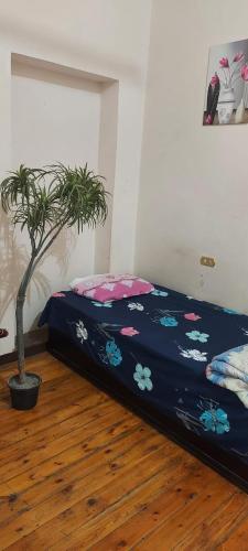 New Safari Hostel Room Type - Single Room