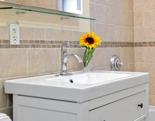 Bright & Spacious 2Br apartment, mins from Downtown Boston, parking in Boston, USA
