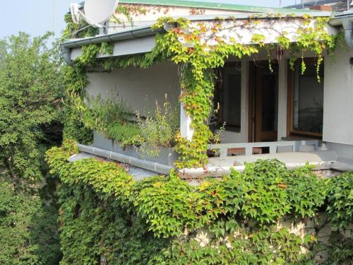 Hotel Wiener Kindl - image 13