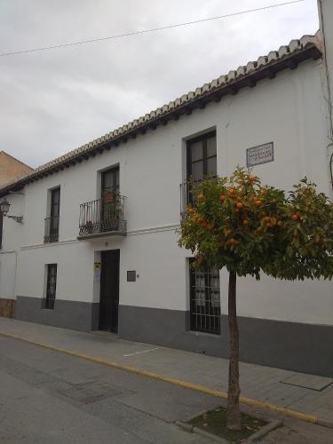 Casa La nana de Lorca a 15 min de Granada