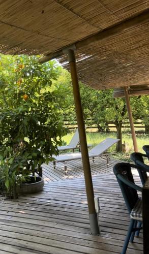 Campo Portakal Eco Glamping photo