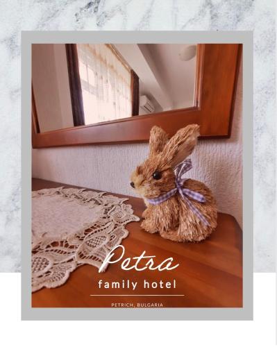Petra Hotel - image 6