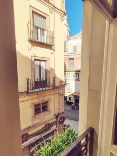 Estudio Centro de Sevilla Room Type - One-Bedroom Apartment