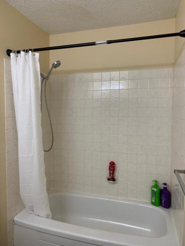 MT Pleasant NW 2 bedrooms 500 3