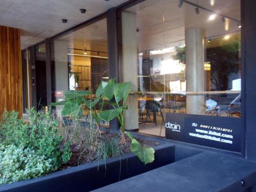 DZAIN 2- PISCINA, cochera, gym, parrilla, playroom, cerca de todo in Parque Patricios