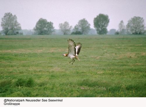 Hotel Zur Post - image 13