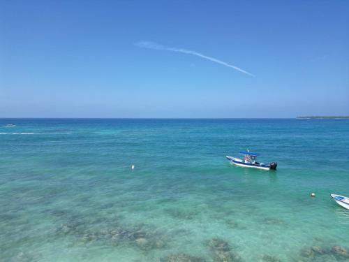 Cabaña Coral Azul