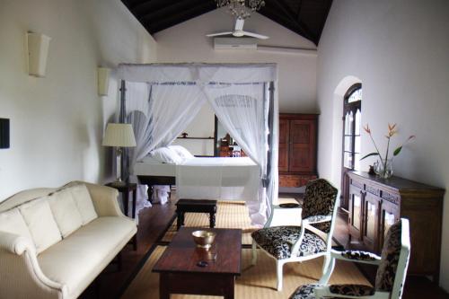 Galle Henna Estate - Tap to explore photos