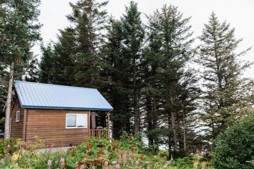 Viesnīcas āriene, Lost Anchor Cabins - Ocean-view cabins on the bluff in Enhorpointa (AK)