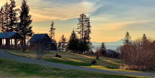 Lost Anchor Cabins - Ocean-view cabins on the bluff