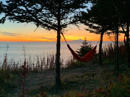 Skats, Lost Anchor Cabins - Ocean-view cabins on the bluff in Enhorpointa (AK)
