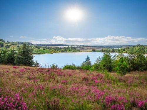 Landal Mooi Zutendaal – Zutendaal, AL