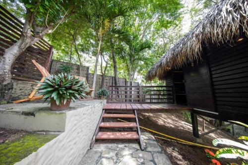 Vrt, Buena Vista Surf Club in Playa Maderas