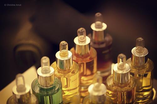 Hôtel de Sèze & Spa Bordeaux Centre - image 10