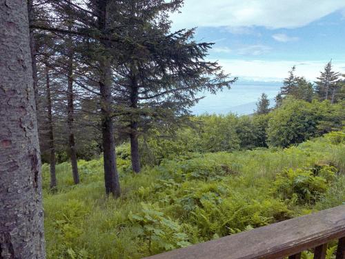 Lost Anchor Cabins - Ocean-view cabins on the bluff