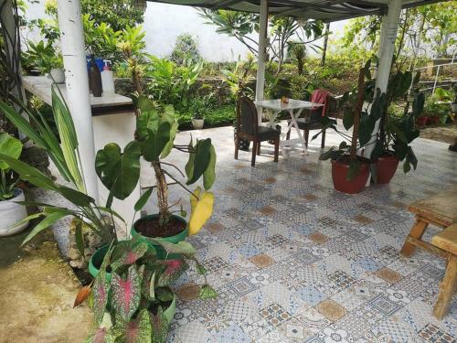 Glory's Garden Calatagan