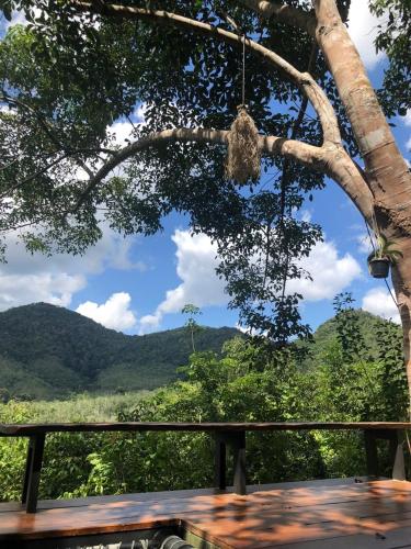 View, Chestnut Hill Eco Resort in Phatong