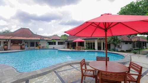 Swimming pool, Royal Brongto Hotel near Yogyakarta Bird Market